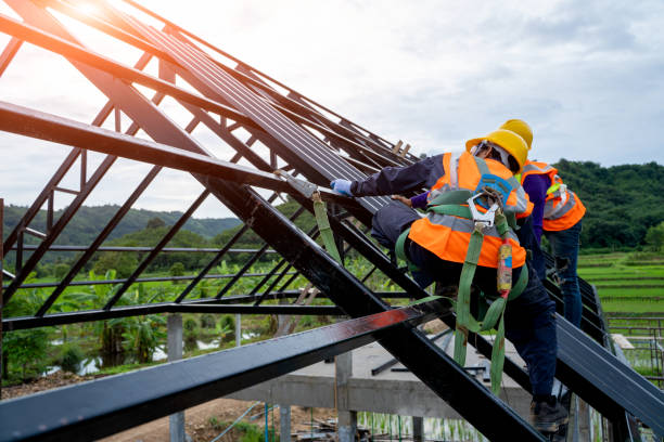 Best Roof Repair Services  in Galls, IN