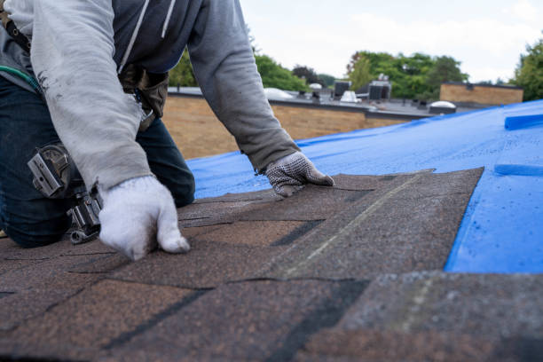 Best Storm Damage Roof Repair  in Galls, IN