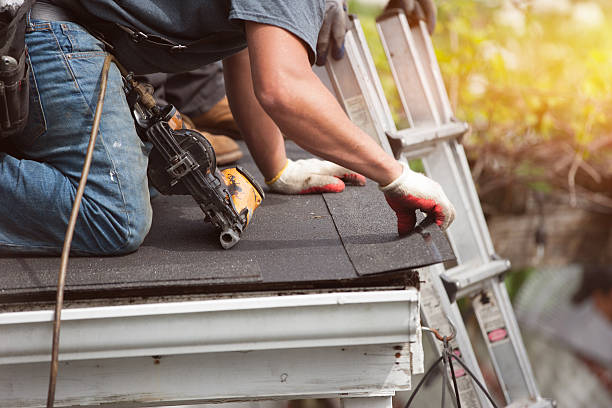 Best Roof Leak Repair  in Galls, IN